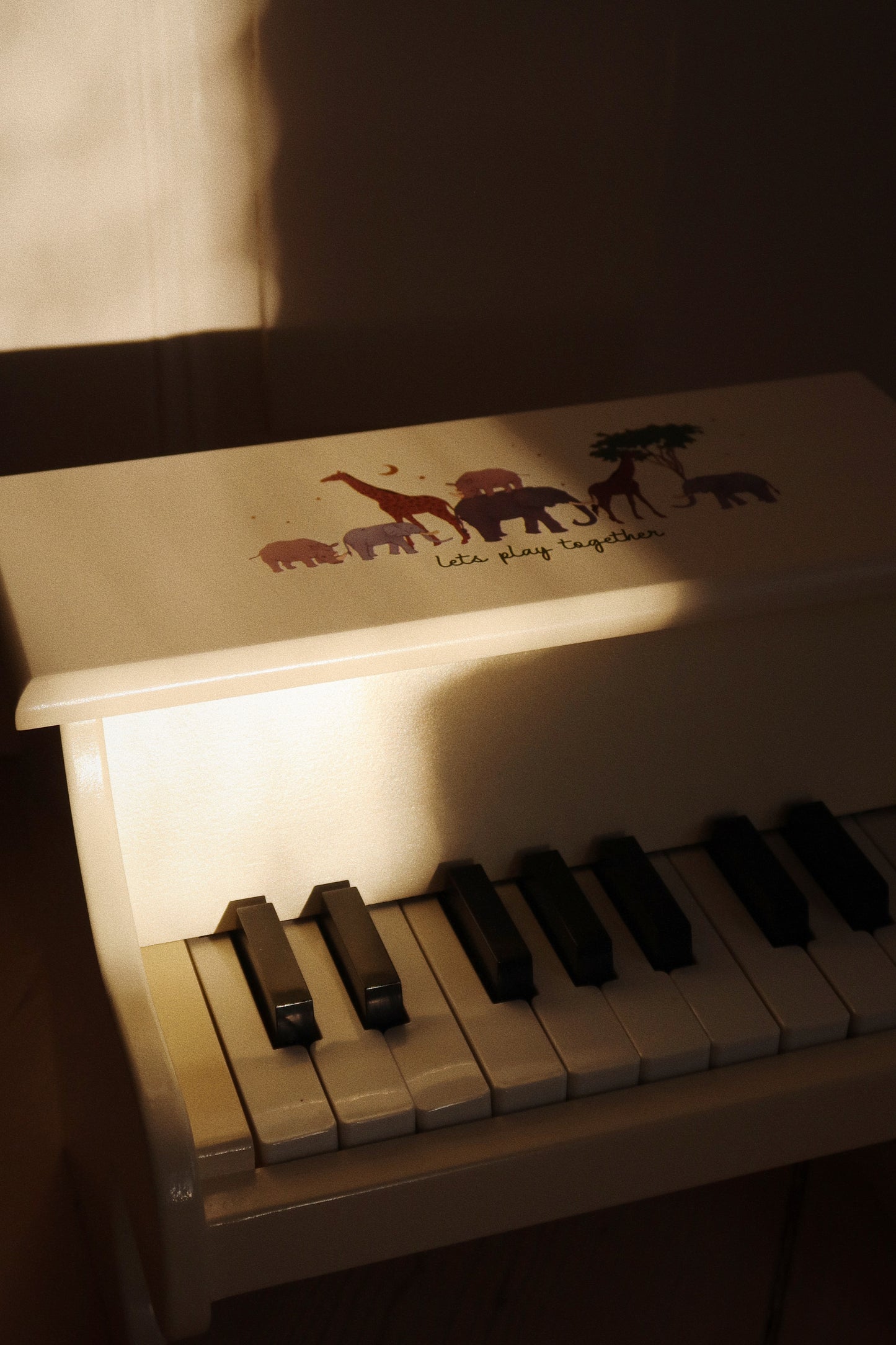 Wooden toy piano 'Sleet'